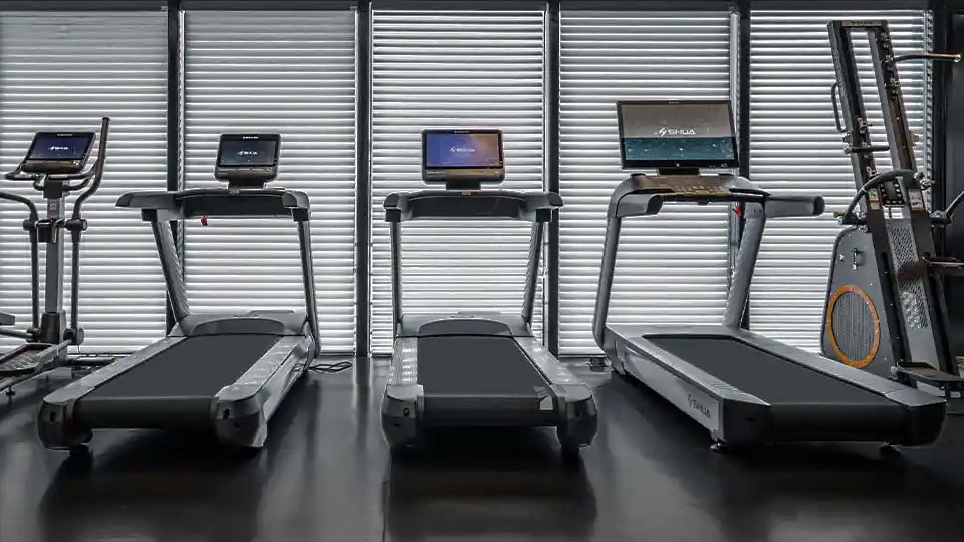 Cardiotraining auf SHUA Laufbändern im Studio.