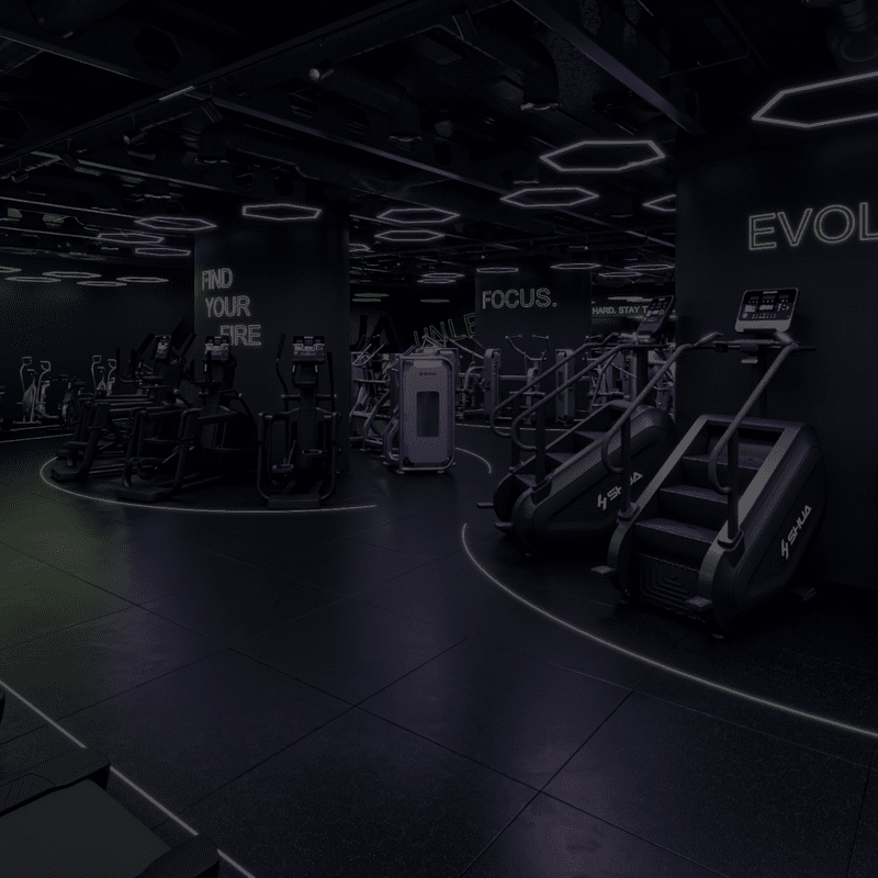 SHUA Fitnessgeräte im Perform365 x SHUA Performance Gym.