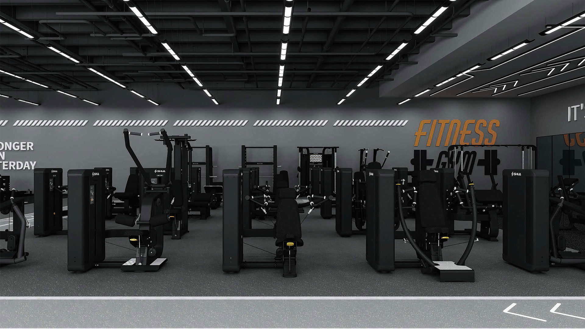 SHUA Kraft- & Fitnessgeräte für effektives Ganzkörpertraining.