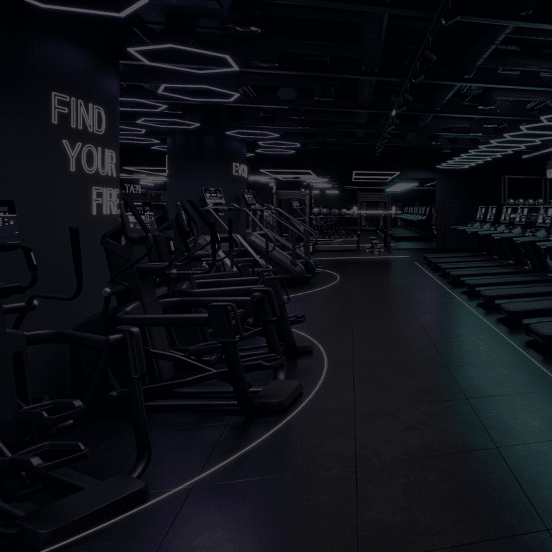 SHUA Cardiogeräte im Perform365 x SHUA Performance Gym.