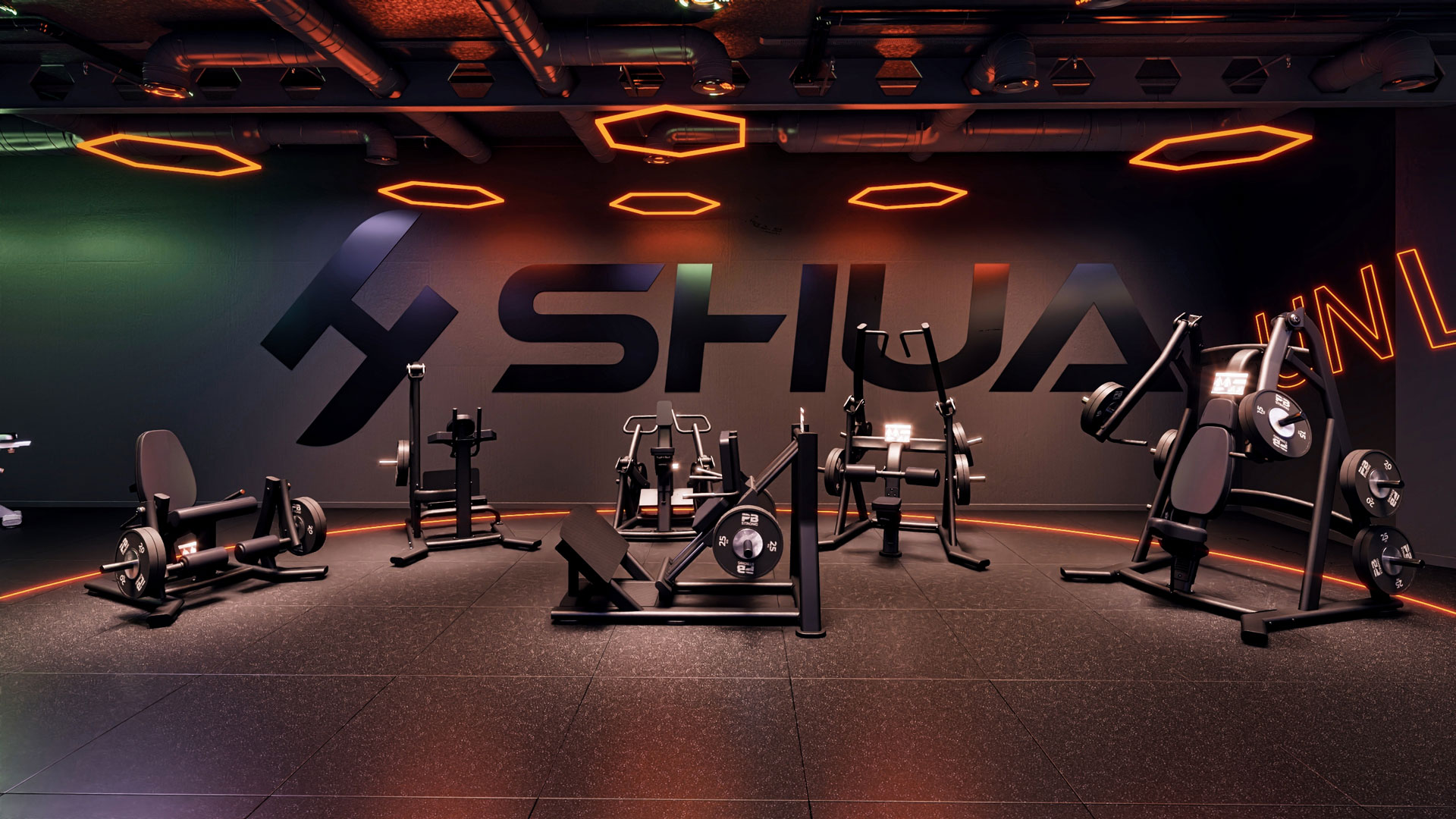 SHUA Kraftgeräte im Performance Gym für effektives Training.