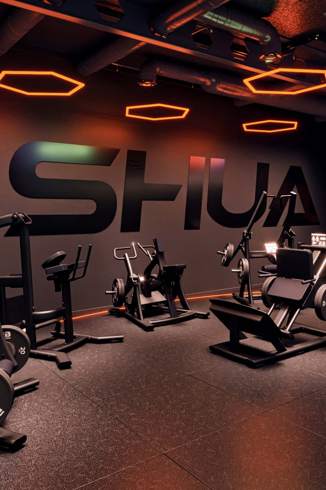 SHUA Plate-Loaded Trainingsfläche in SHUA Performance Gym.