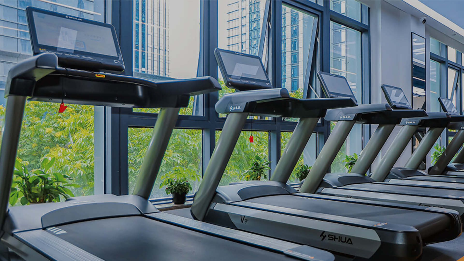 SHUA Treadmills für Cardiotraining und Ausdauer im Fitnessstudio.