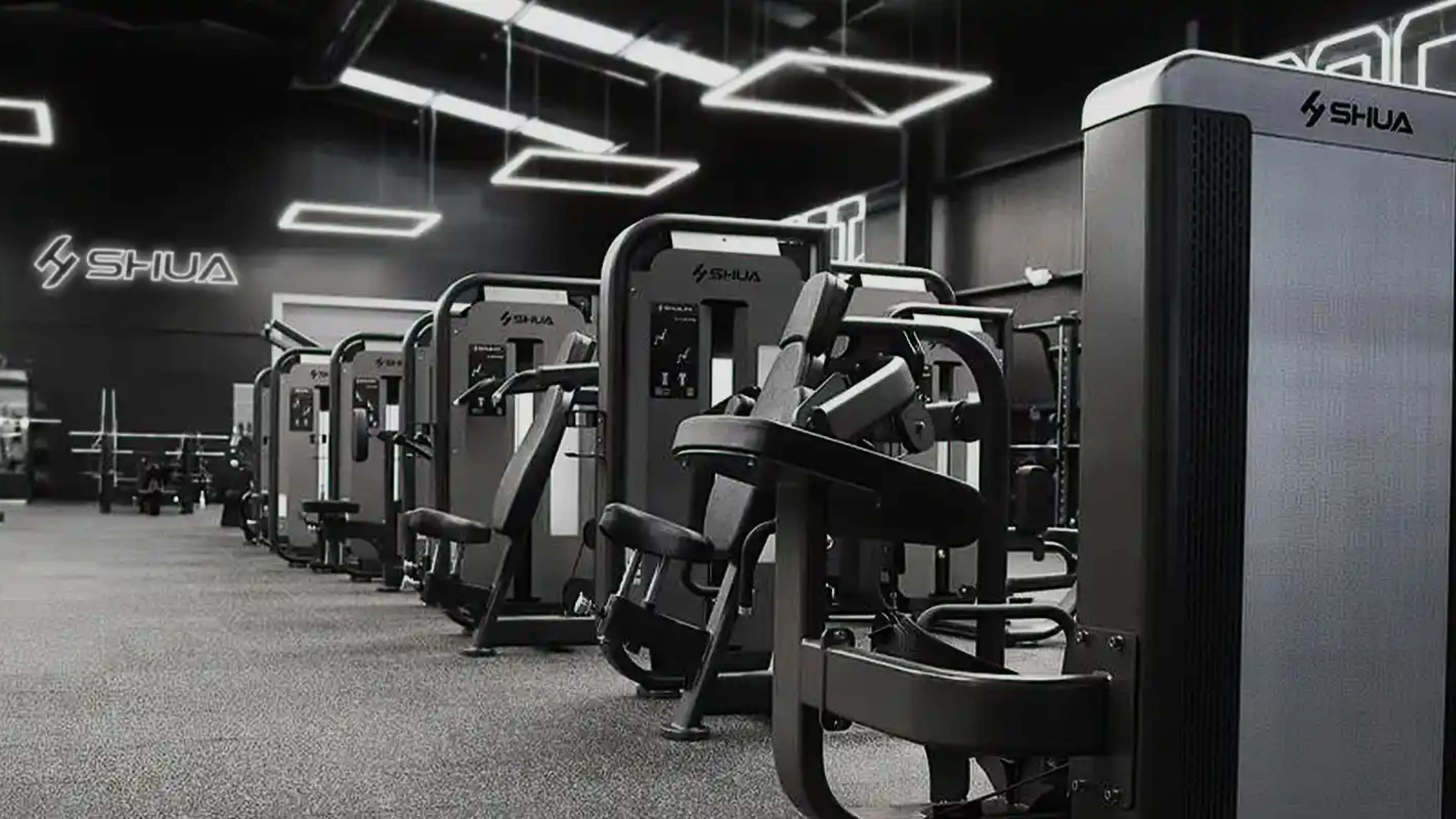 Krafttraining an SHUA Fitnessgeräten im Studio.