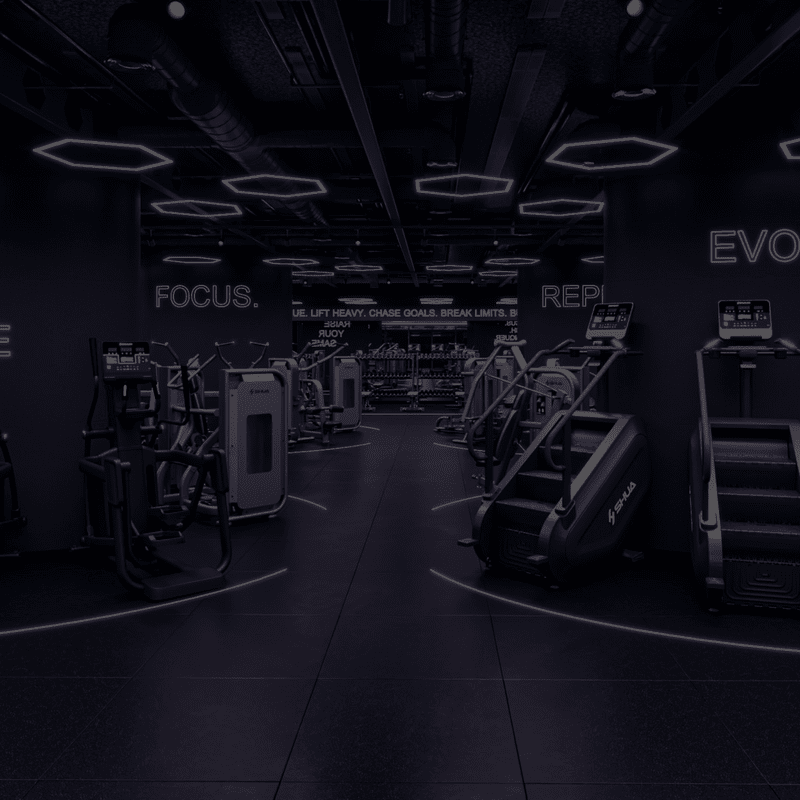 Stair Climber im SHUA Performance Gym.